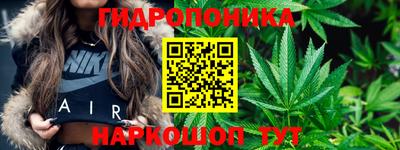 молекула духа Северобайкальск