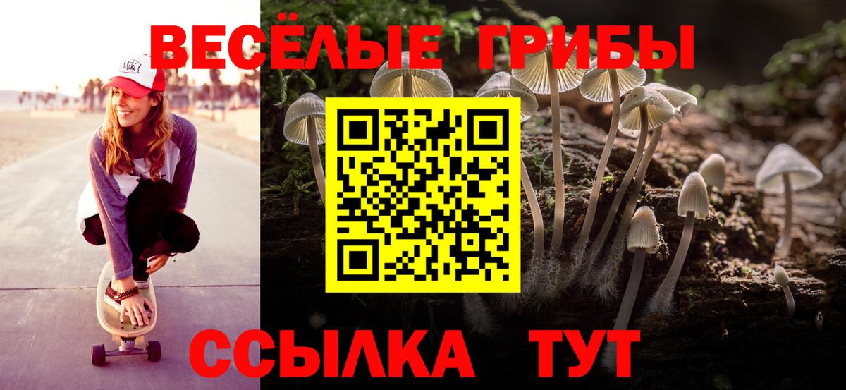 Реутов  даркнет сайт  Вход с VPN  Псилоцибиновые грибы GOLDEN TEACHER 